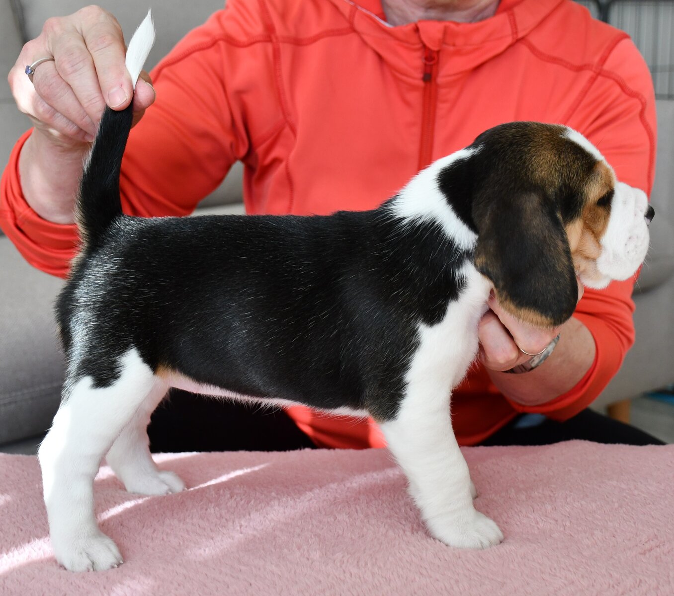 Jessica z Kunčiček