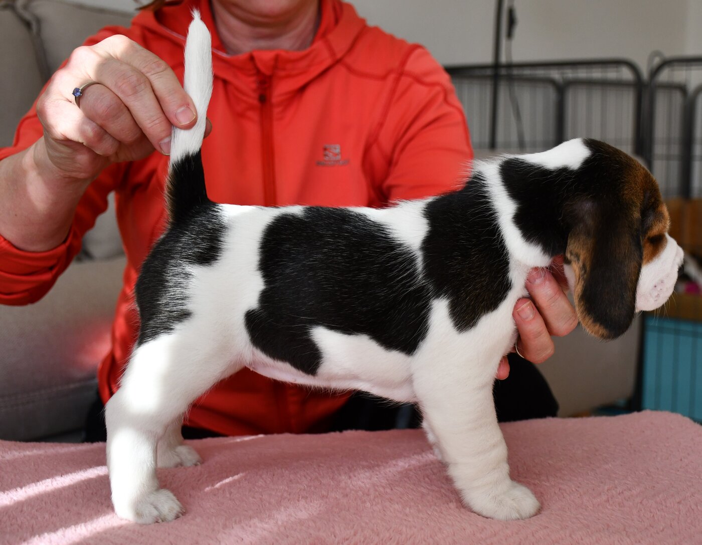 Juliana z Kunčiček